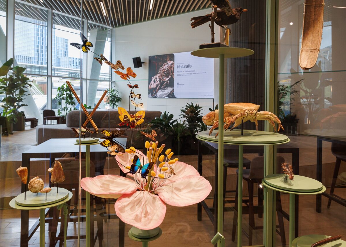Tentoonstelling over biodiversiteit in The CubeHouse op de Amsterdamse Zuidas