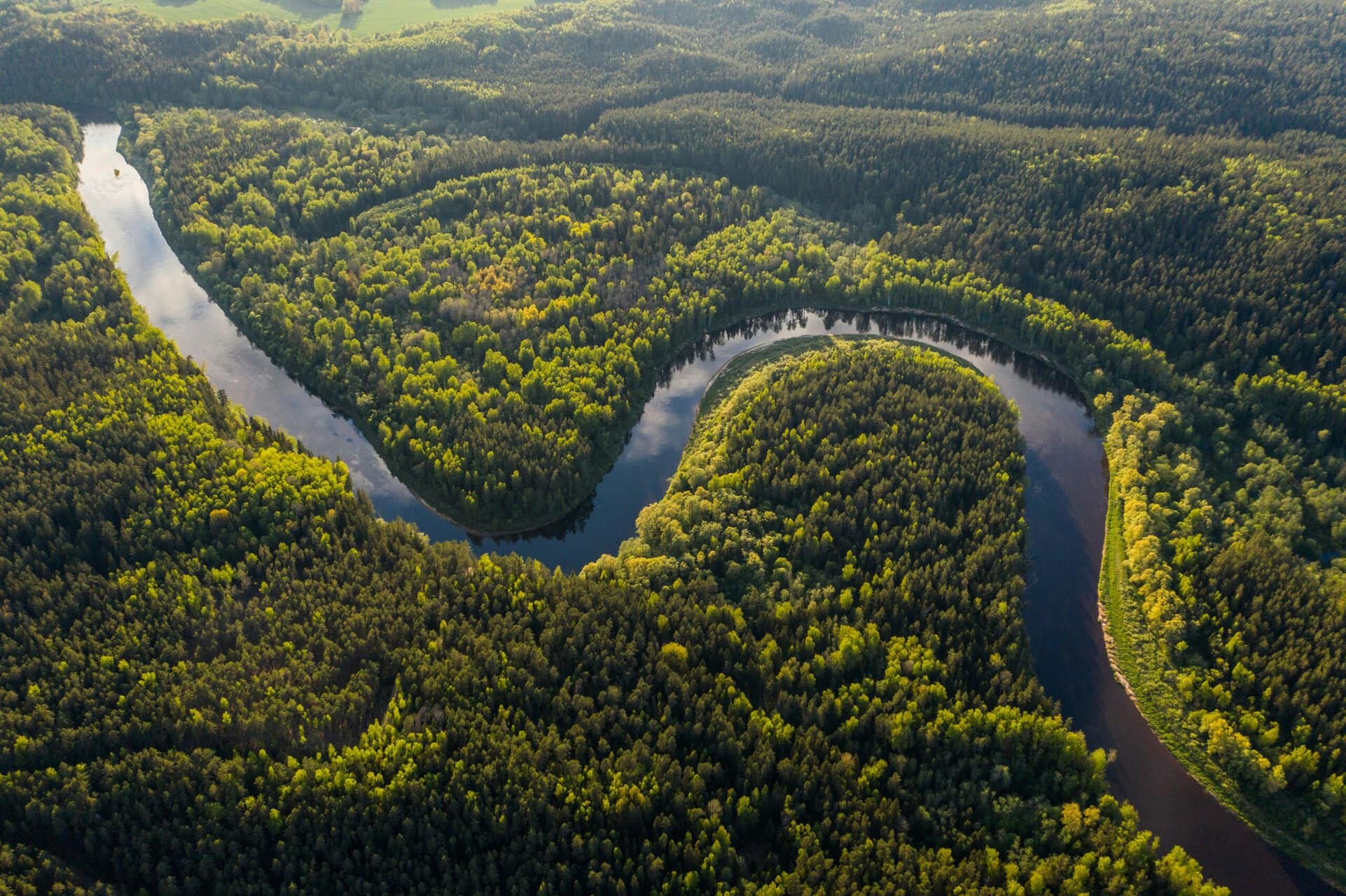 Een luchtfoto van een rivier in het Amazonegebied.