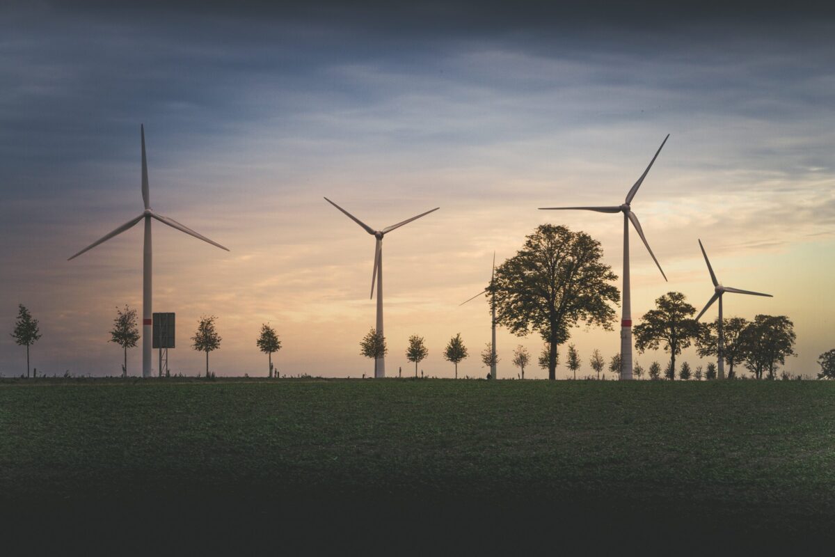 Een landschap met bomen en windturbines