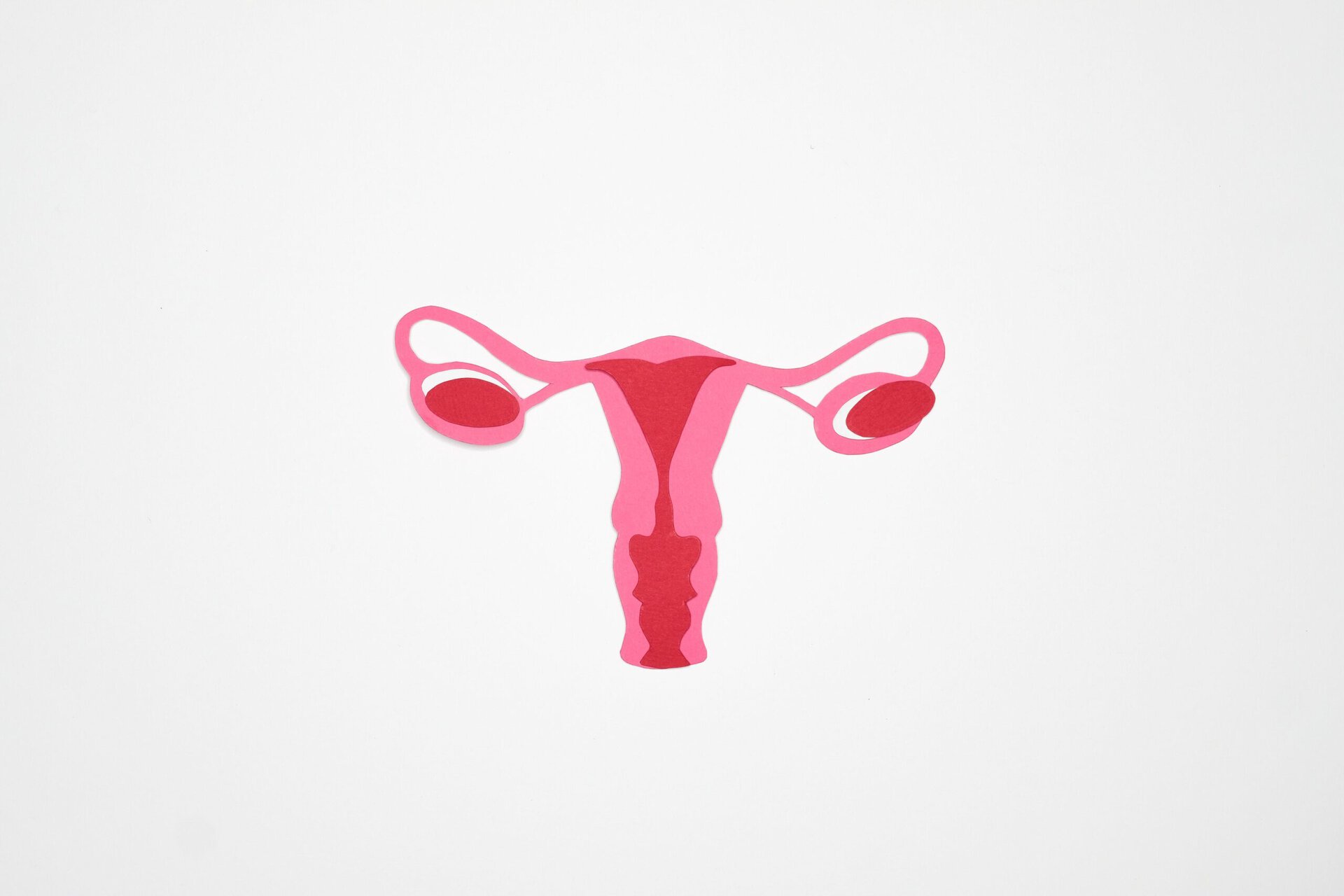 Eierstokveranderingen na de menopauze dragen mogelijk bij aan ontstekingen